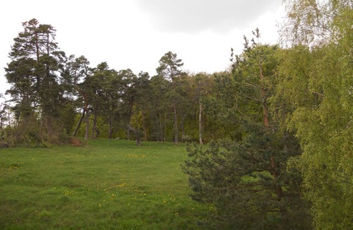 Pappenheim Apartment | 65 m² Apartment ∙ 1 bedroom ∙ 4 guests