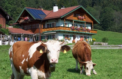Inzell Apartment | 70 m² Apartment ∙ 2 bedrooms ∙ 5 guests