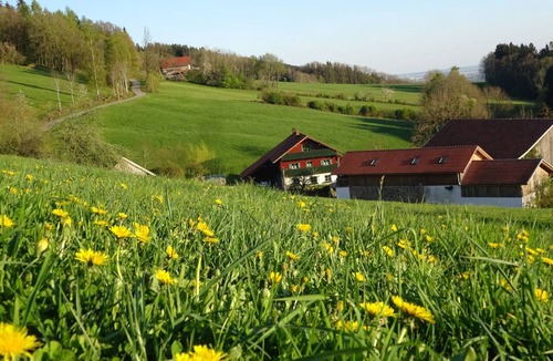 Schwarzach Apartment | 70 m² Apartment ∙ 2 bedrooms ∙ 7 guests
