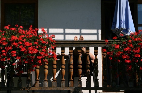 Buechlberg House | 70 m² Farmhouse ∙ 1 bedroom ∙ 4 guests