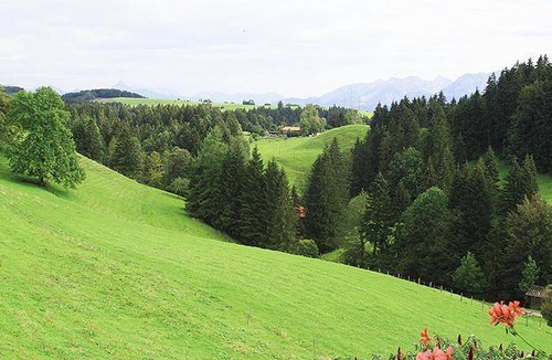 Oy-Mittelberg Apartment | 72 m² Apartment ∙ 1 bedroom ∙ 4 guests
