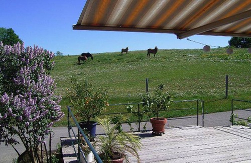 Witzmannsberg Bed & Breakfast | 75 m² Bed and breakfast ∙ 2 bedrooms ∙ 5 guests
