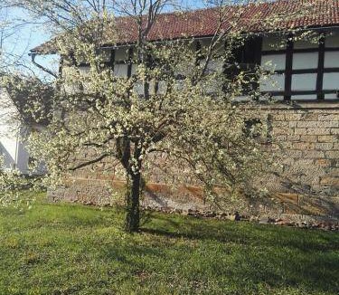 Sulzdorf an der Lederhecke Bed & Breakfast | 76 m² Bed and breakfast ∙ 2 bedrooms ∙ 4 guests