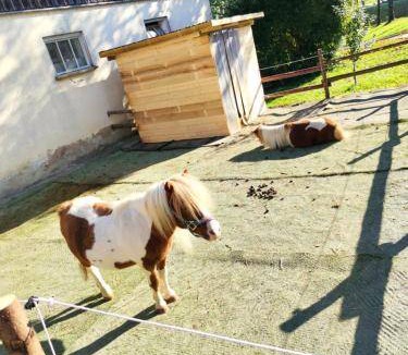 Schwarzenbach an der Saale Apartment | 80 m² Apartment ∙ 3 bedrooms ∙ 5 guests