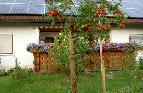 Bodolz Apartment | 84 m² Apartment ∙ 2 bedrooms ∙ 4 guests