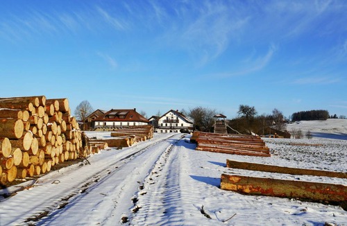 Buechlberg Apartment | 85 m² Apartment ∙ 2 bedrooms ∙ 5 guests