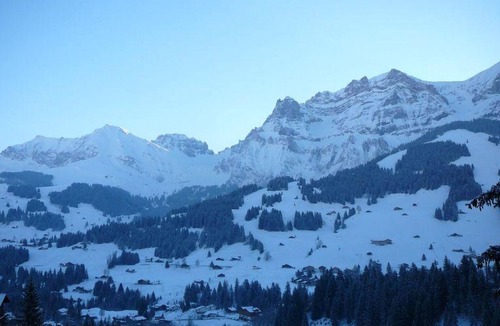Adelboden Apartment | Adlerhorst by Interhome