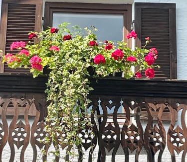 Peissenberg Apartment | Aich21