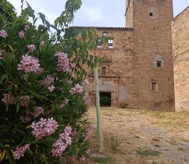Ruesta Hostel | Albergue de Ruesta