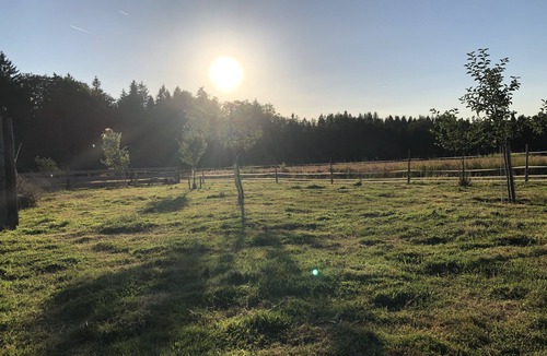 Unterallgau Apartment | Allgäu peace and serenity in the middle of nature, on a donkey farm
