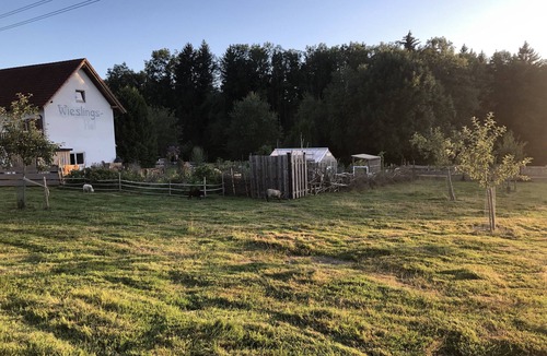 Unterallgau Apartment | Allgäu peace and serenity in the middle of nature, on a donkey farm