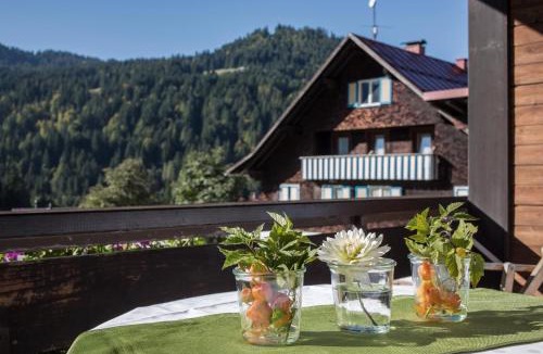 Balderschwang House | Almhof Lässer