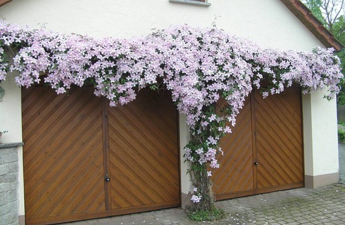 Ochsenfurt Apartment | Am Alten Berg | 40m2 FeWo für 3 Personen mit Küchenzeile und Terrasse