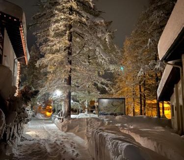 Saas Almagell Apartment | Apart-hotel Channa