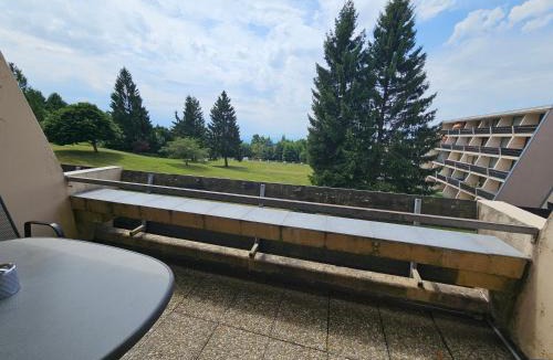 Sankt Englmar Apartment | Apartament Berghof in Bayerischen Wald