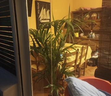 Laredo Apartment | apartamento céntrico zona Marques de comillas 8