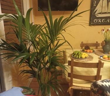 Laredo Apartment | apartamento céntrico zona Marques de comillas 8
