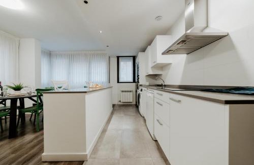 Logrono City Centre Apartment | Apartamento Gran Reserva