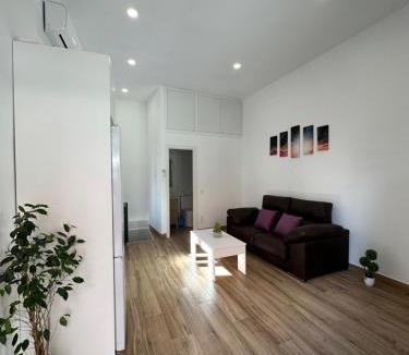 Castillejos Apartment | Apartamentos Bravo Murillo