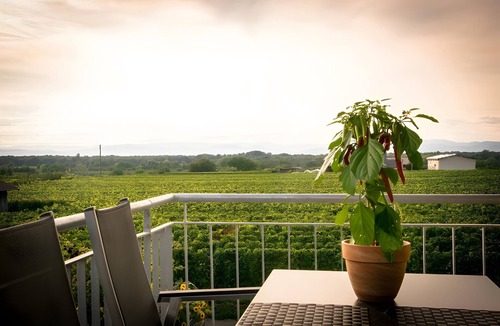 Oberrotweil Apartment | Apartment 'South View' with Vineyard View, Private Terrace, and Wi-Fi