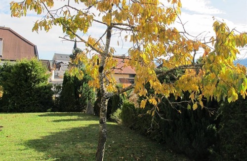 Reith bei Seefeld Apartment | Apartment, 3 bedrooms, shower, bath, WC - Hauspircher