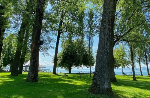 Kressbronn Apartment | Apartment Alina - Penthouse apartment with breathtaking views of Lake Constance