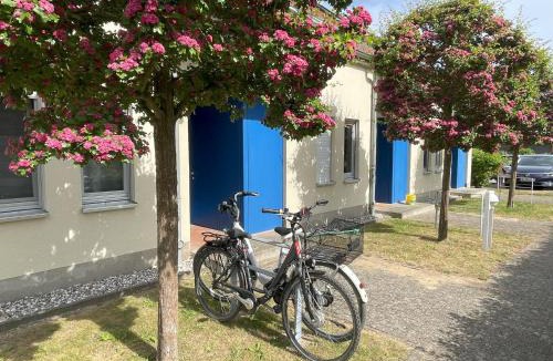 Mellenthin Apartment | Apartment Biber mit Terrasse
