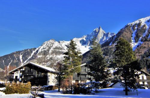 Chamonix-Mont-Blanc Apartment | Apartment Champraz-15 by Interhome