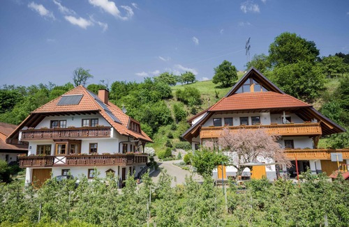 Haslach im Kinzigtal Apartment | Apartment 'Hirschblick' with Mountain View, Shared Terrace and Wi-Fi