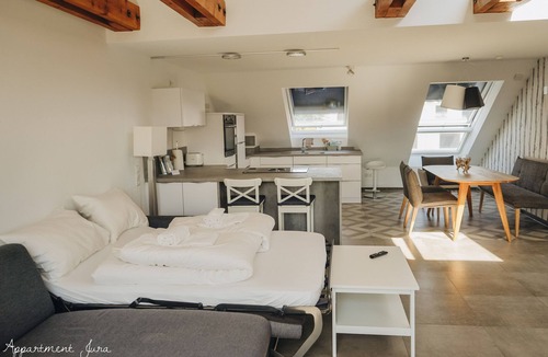 Bad Krozingen Apartment | Apartment-Deluxe-Private Bathroom-Terrace