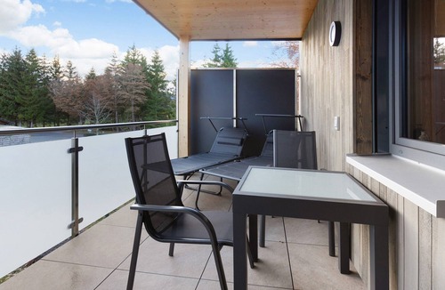 Donaueschingen Apartment | Apartment 'Ebbi' with Balcony, Accessible, Dogs Allowed, BBQ Hut & Infrared Cabin