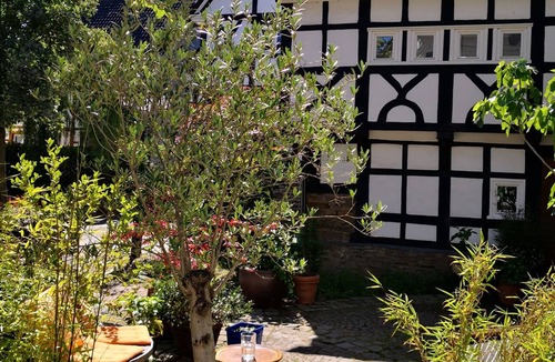 Alt-Wetter Apartment | Apartment-Exclusive-Private Bathroom-Garden view-Alte Tischlerei I