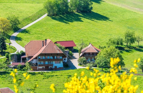 Muehlenbach Apartment | Apartment 'Ferienwohnung Brandenkopfblick' with Mountain View, Shared Garden and Wi-Fi