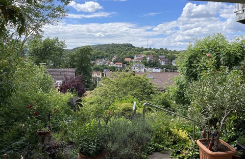 Momlingen Apartment | Apartment 'Haus Königswald' with Private Terrace and Wi-Fi