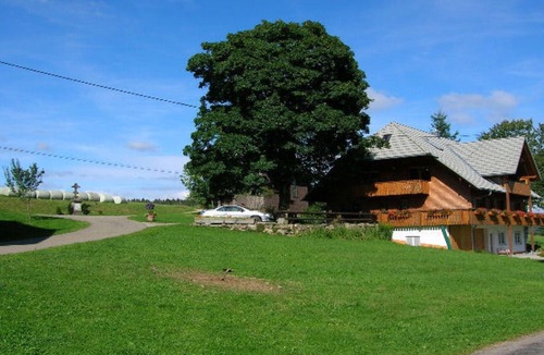 Schollach Apartment | Apartment 'Hofblick' with Shared Garden and Balcony, Farm Holiday