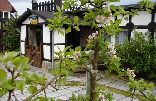 Godern Apartment | Apartment in a quiet location, 2 minutes walk. to the lake, 10 km off the Landesh. Schwerin