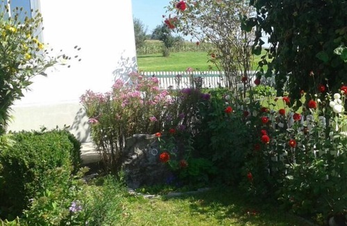 Hergensweiler Apartment | Apartment in Hergensweiler
