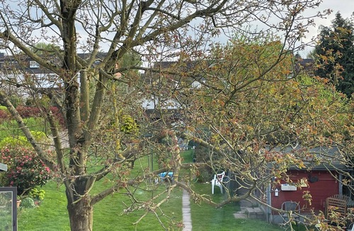 Recklinghausen Apartment | Apartment in quiet two-family house on the outskirts of the city