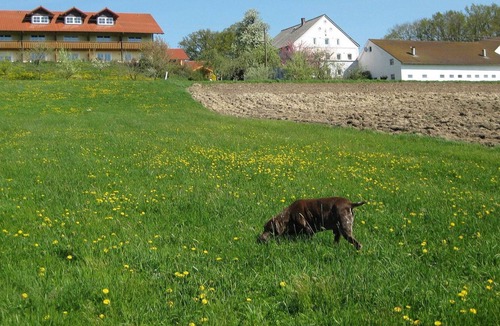 Rotthalmuenster Apartment | Apartment in Rotthalmünster with garden