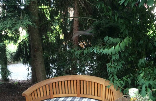 Ringheim Apartment | Apartment in the green nature garden - Fewo Grünes Haus