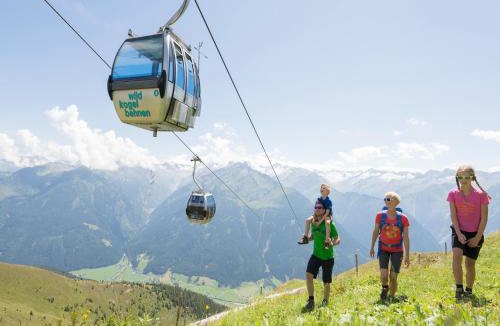 Wald im Pinzgau Apartment | Apartment in Wald near Krimml Waterfalls