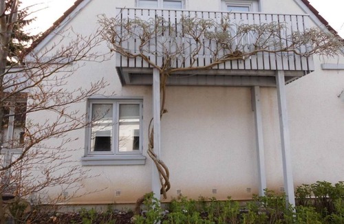 Heikendorf Apartment | Apartment Knepel - Apartment, shower, WC, 1 bedroom, Whg. LUV