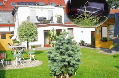 Pirna Bed & Breakfast | Apartment, living/bedroom - Pension Nr. 13