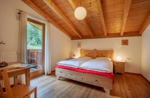 Abfaltersbach Apartment | Apartment Mitterdorfer