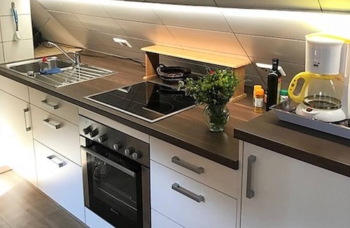 Hornberg Apartment | Apartment 'Naturhäusle, 45 sqm' with Mountain View, Balcony, Pets on Request