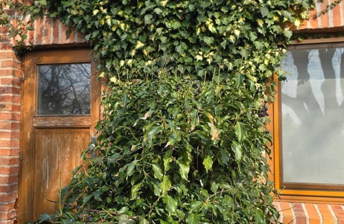 Hirschburg Apartment | Apartment NH5 - Apartment with 2 sep. Bedrooms for 6 people opposite the