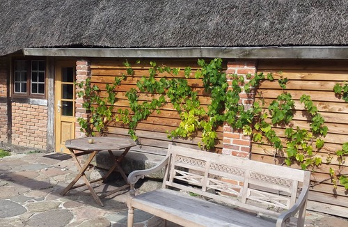 Kalkhorst Apartment | Apartment on the Baltic Sea in the beautiful Leonora forest
