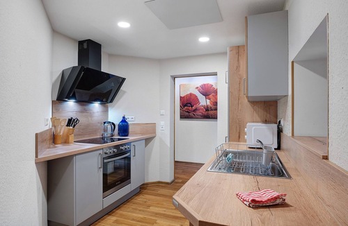 Kappelrodeck Apartment | Apartment 'Schwarzwald-Lodge' with Patio and Infrared Cabin