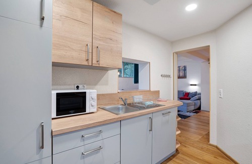 Kappelrodeck Apartment | Apartment 'Schwarzwald-Lodge' with Patio and Infrared Cabin
