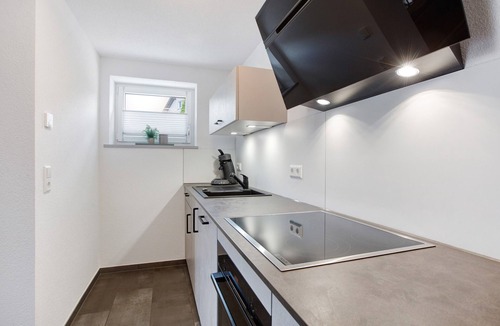 Albbruck Apartment | Apartment 'Schwarzwald' with Private Terrace and Wi-Fi